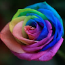 Created by