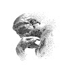 Робота Луцьк profile picture