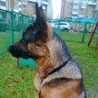 Kullanıcı: Ilya Ilya