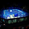 View user_ziwzygty4bcml84w's Profile
