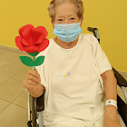 Pengguna: LECA Martine