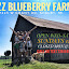 Teachers at the Jazz Blueberry Farm