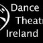 Dance Theatre Ireland (Owner)