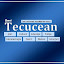 Ziarul Tecucean（所有者）