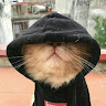 quat:3