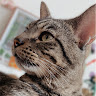 Lane07 member profile picture