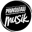 Prinquiau Musik (Owner)