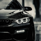 Utilisateur: Mustafa Ghafoori