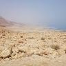 ישראל