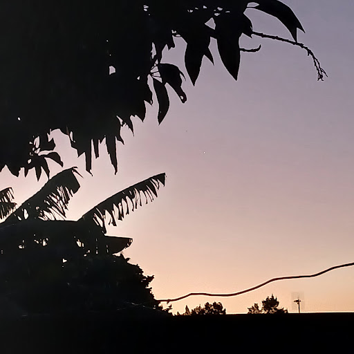 Light