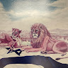 שאול כהן's photo