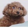 강혜정