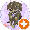 Avatar de stella.h