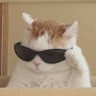 user_v5ygbzp36fs38mk1 member profile picture