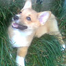 Profile picture of Robin M.