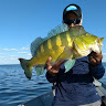 Pescarias em Epitacio Guia de pesca