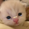 Nói lắm ấy?=)))