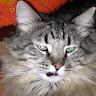 rnwood13229's Avatar