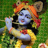 Harika Reddy