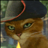 user_d4xaj0p0i3i6oixt member profile picture