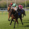 Writer: CROWD RACING