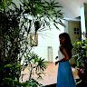 author-avatar