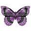 Purple Butterfly