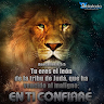 Foto del escritor: Dairon Lawyer