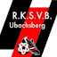 RKSVB Webmaster (Owner)