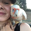 Hannah “Hannah and the Corella” (Owner)