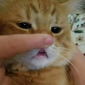小俊