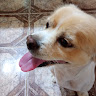 María 