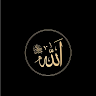 Fatima Abbas profile image
