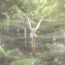 m1sspr1ncess1 member profile picture