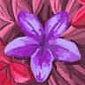 user_9sp76u3y4rko3ecs member profile picture