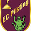 EC Pilsting (владелец)