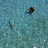 oceanstugkan