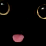 JCharlie