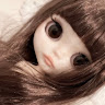 Kipy