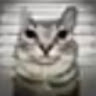 user_o4fatg51g67wqdiv member profile picture