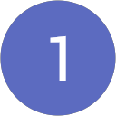 1 N