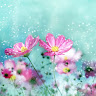 naomi naeh's photo