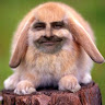 STEFANINA, Gianluca