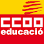 Federació CCOOEducació (Owner)