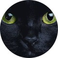 Avatar de Laure.e