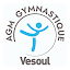 AGM GYM VESOUL (Owner)