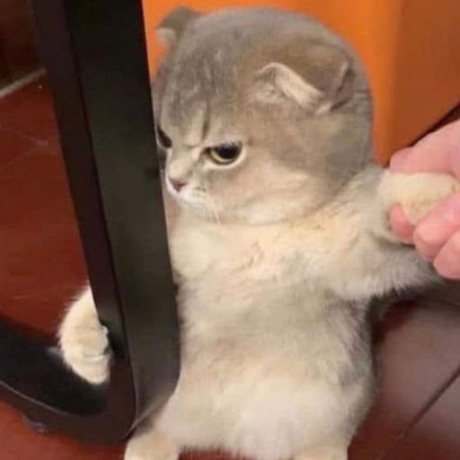 Aki