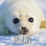 香乖乖