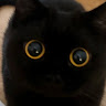 nano