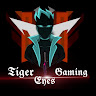 Tiger eyes gaming